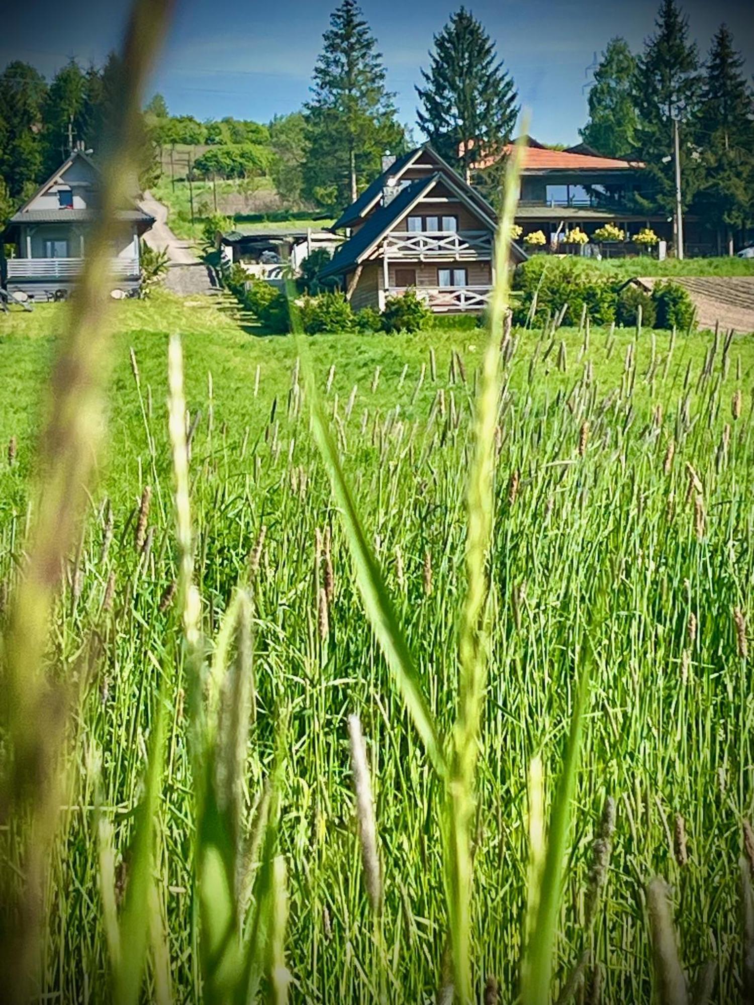 Domki Caloroczne Domkowstwo Bobrka Kültér fotó